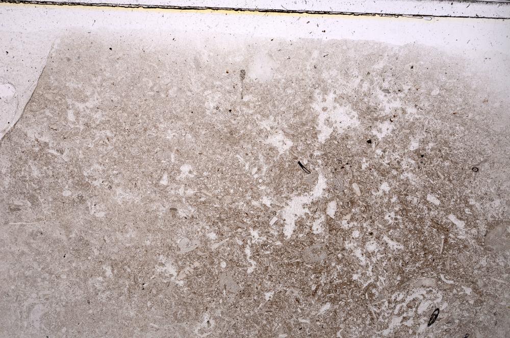 Plane Polarized, E42522