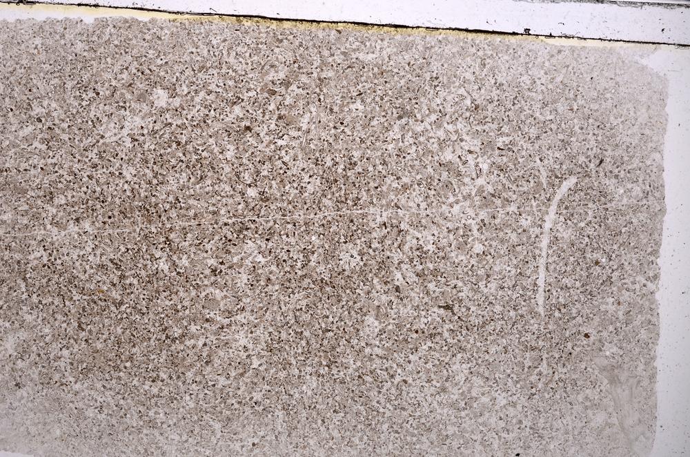 Plane Polarized, E42524