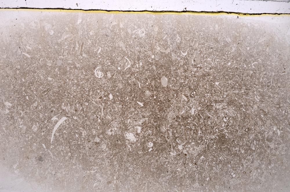 Plane Polarized, E42526