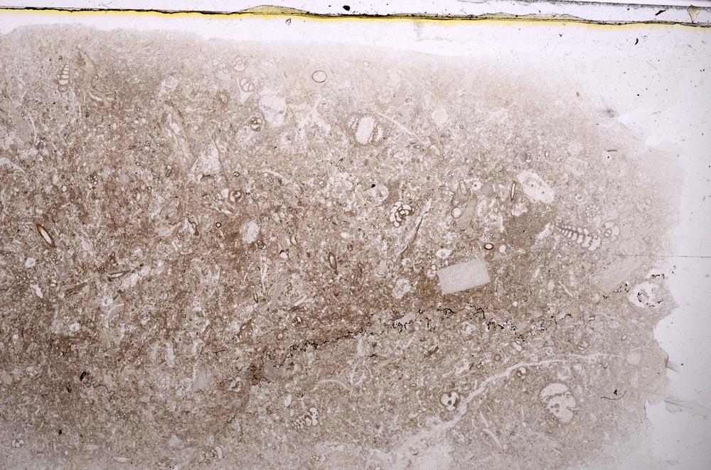 Plane Polarized, E42527