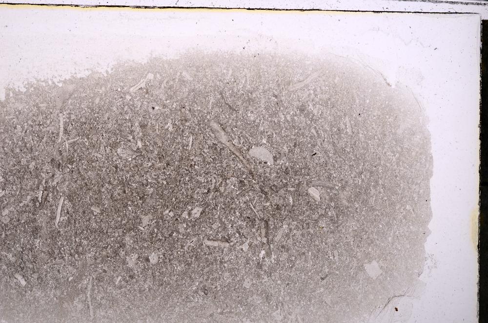 Plane Polarized, E42536