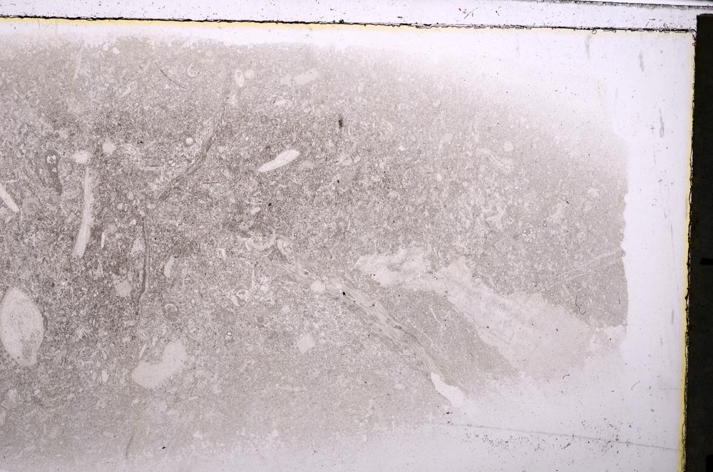 Plane Polarized, E42541