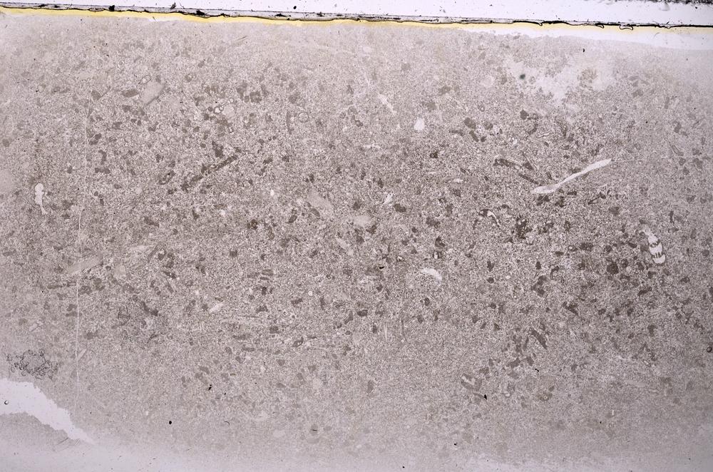 Plane Polarized, E42573
