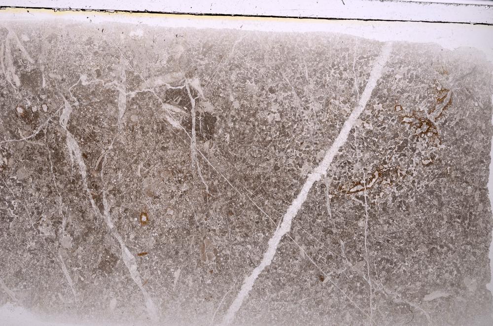 Plane Polarized, E42574