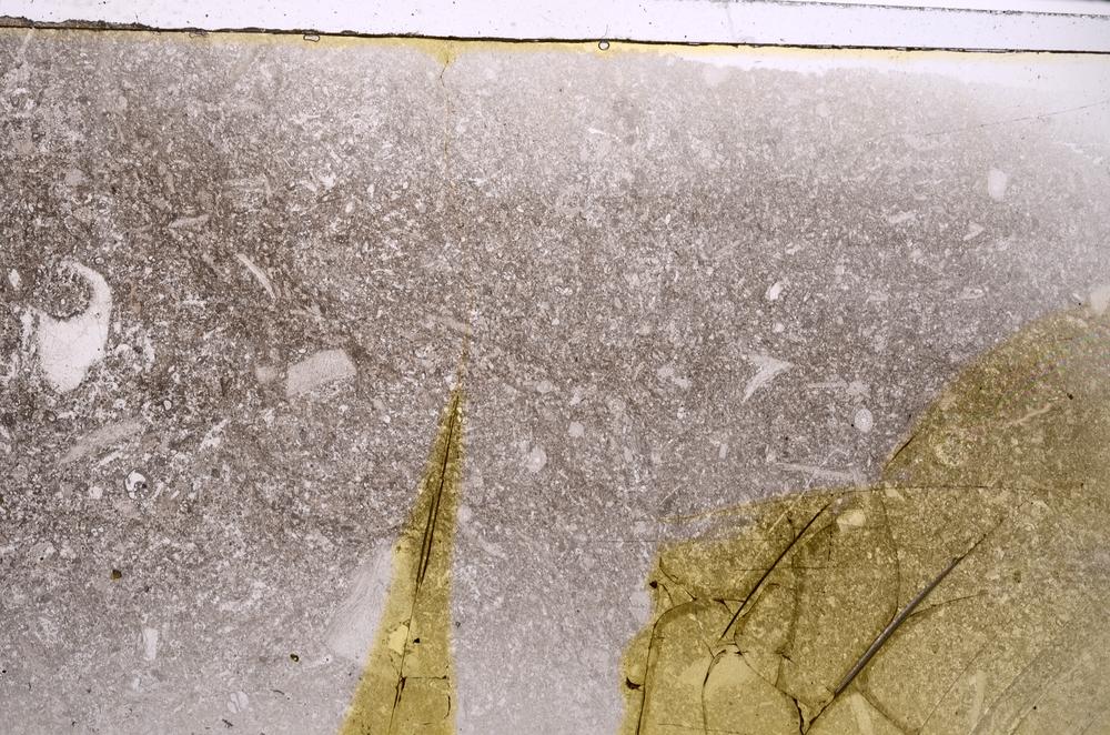 Plane Polarized, E42577
