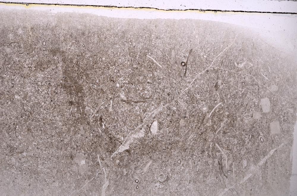 Plane Polarized, E42578