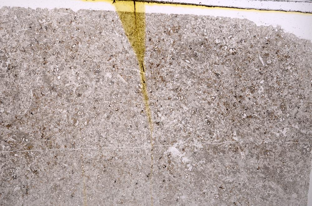 Plane Polarized, E42589