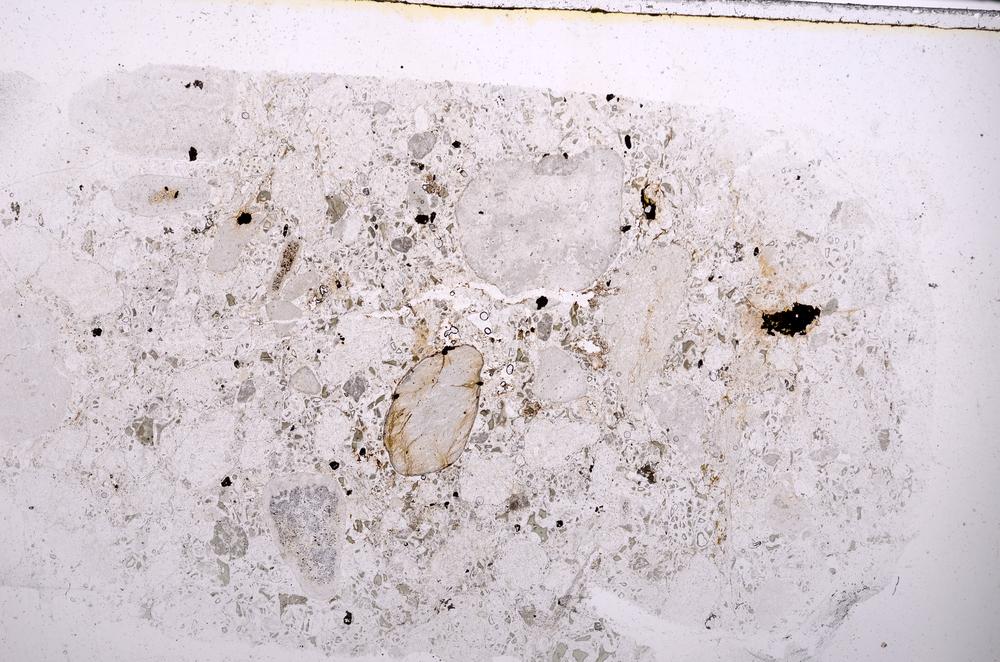 Plane Polarized, E42604