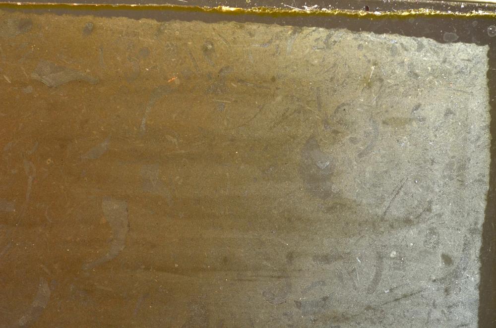 Plane Polarized, E42661