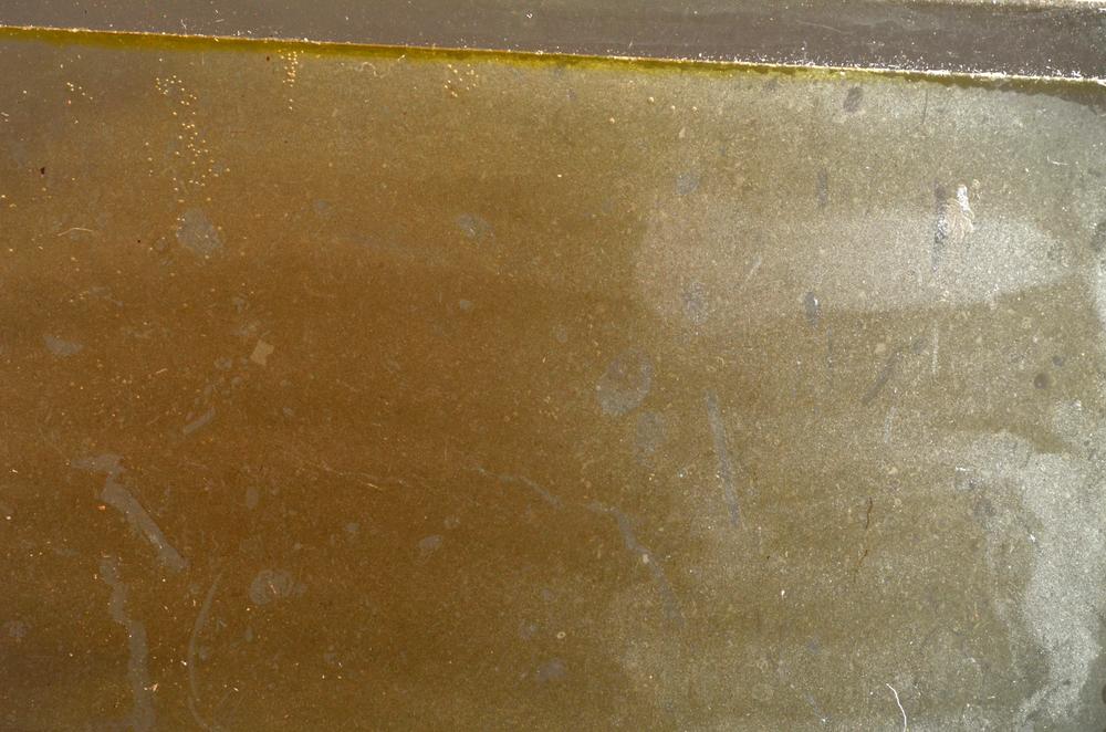 Plane Polarized, E42662