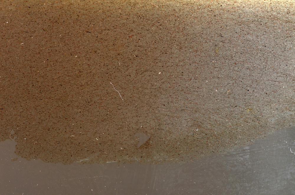 Plane Polarized, E42681