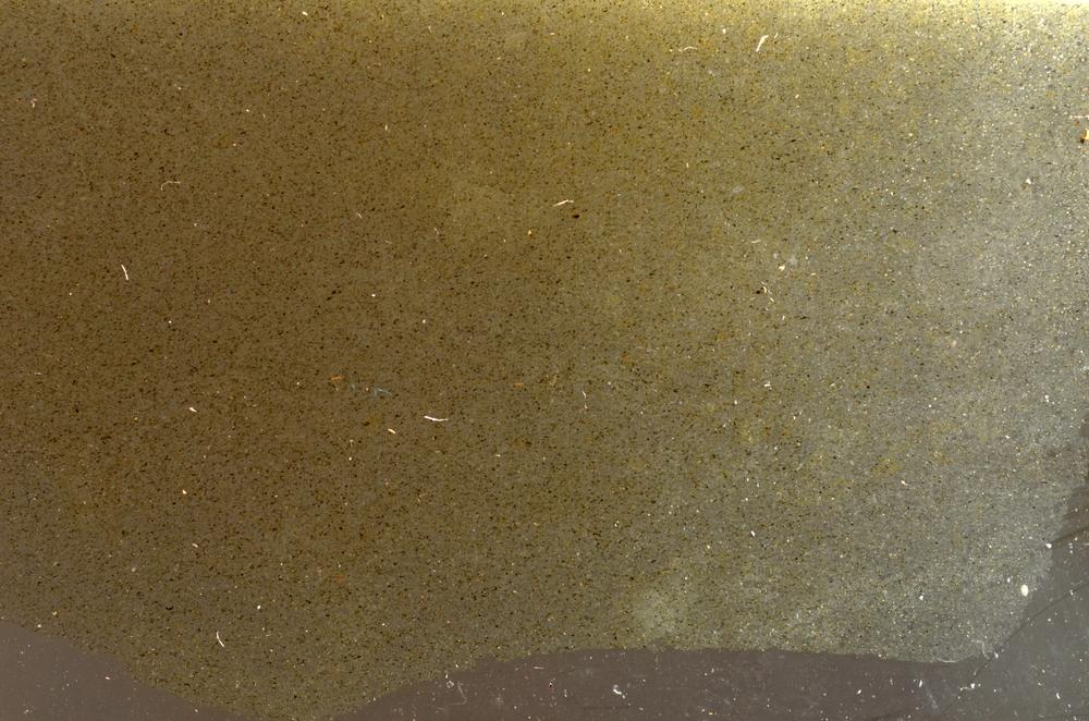Plane Polarized, E42693