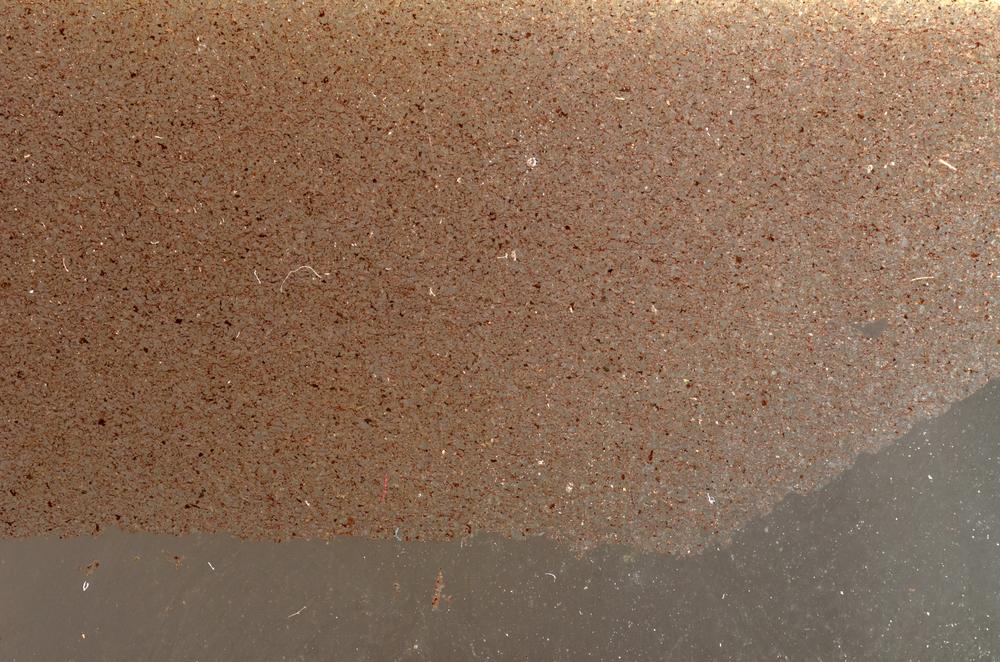 Plane Polarized, E42694