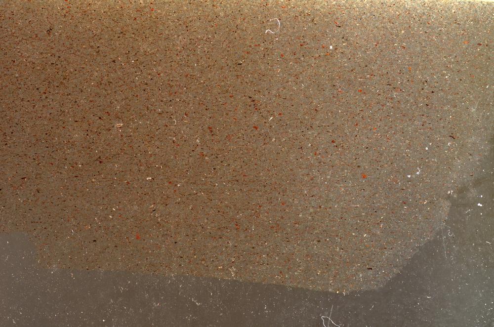 Plane Polarized, E42695