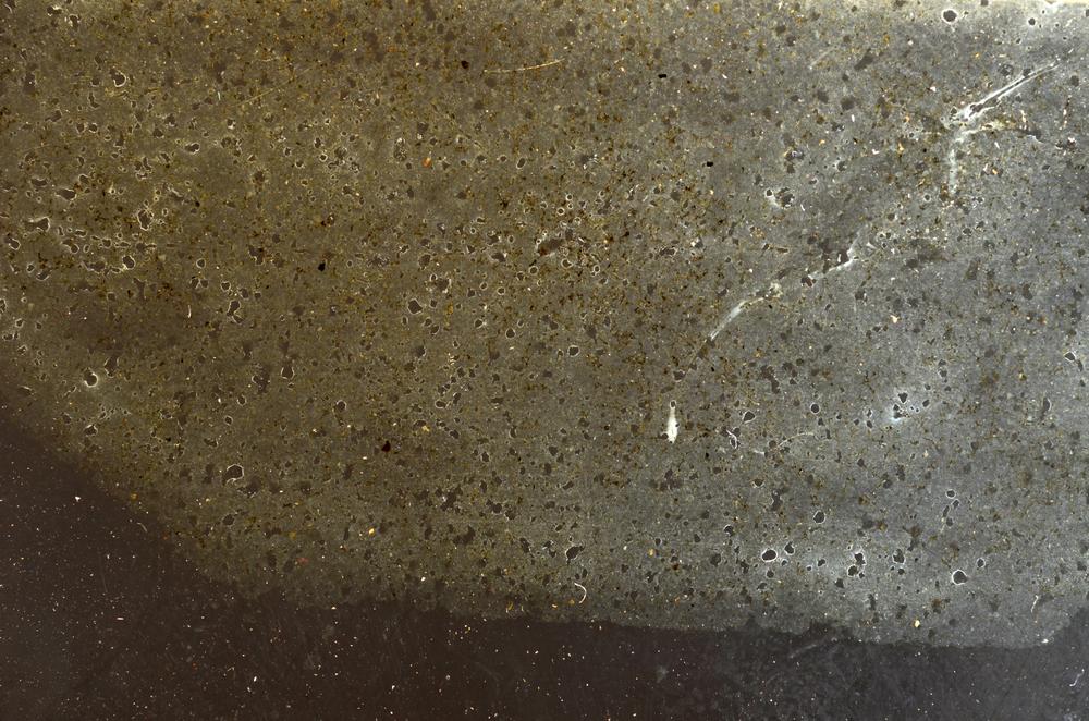 Plane Polarized, E42734