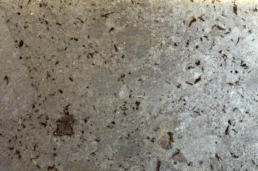 Plane Polarized, E42762/A