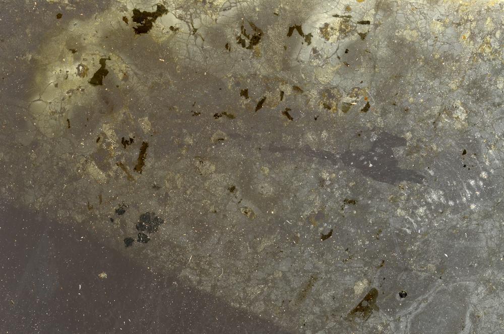 Plane Polarized, E42765