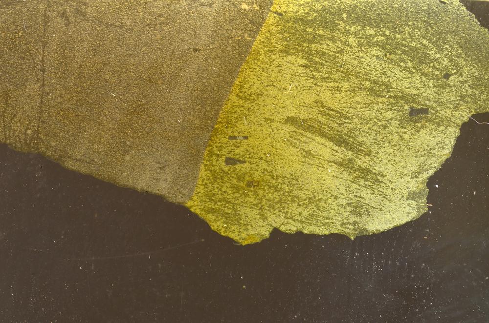 Plane Polarized, E42808