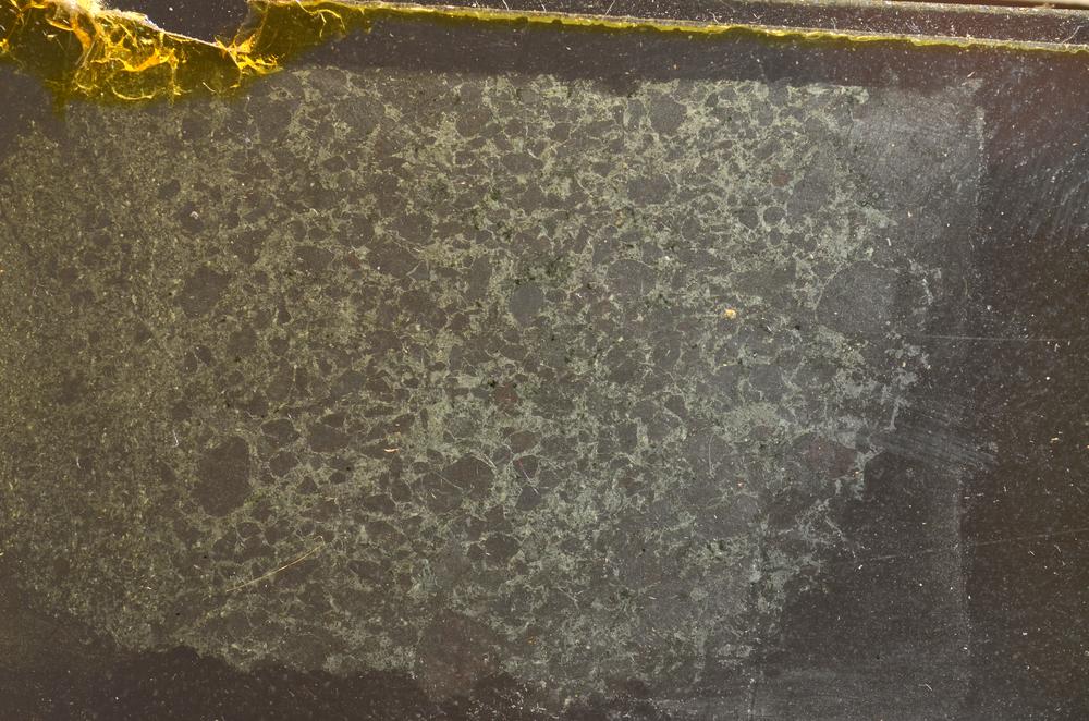 Plane Polarized, E42820