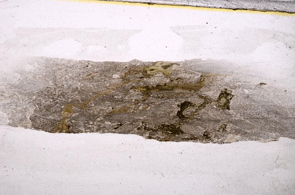 Plane Polarized, E42863