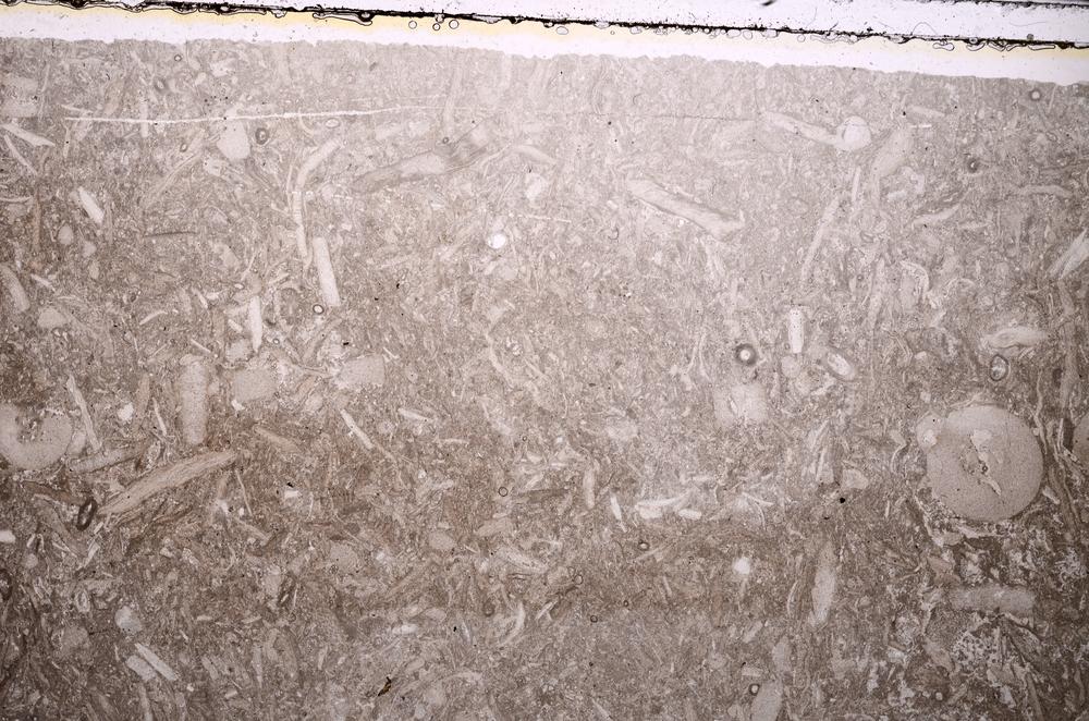 Plane Polarized, E42876