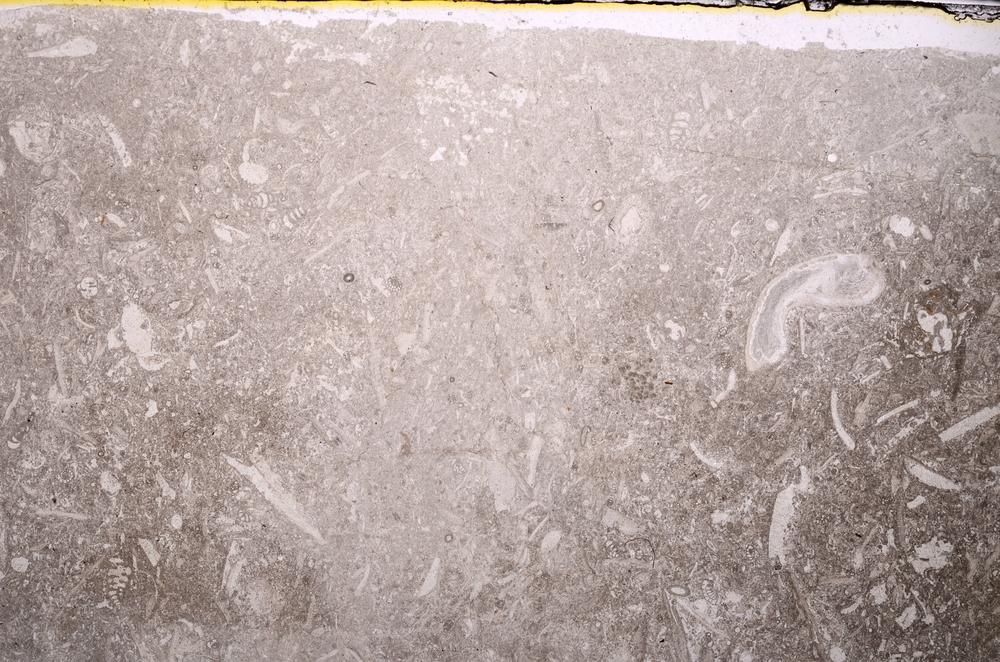 Plane Polarized, E42877