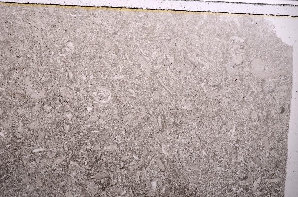 Plane Polarized, E42881