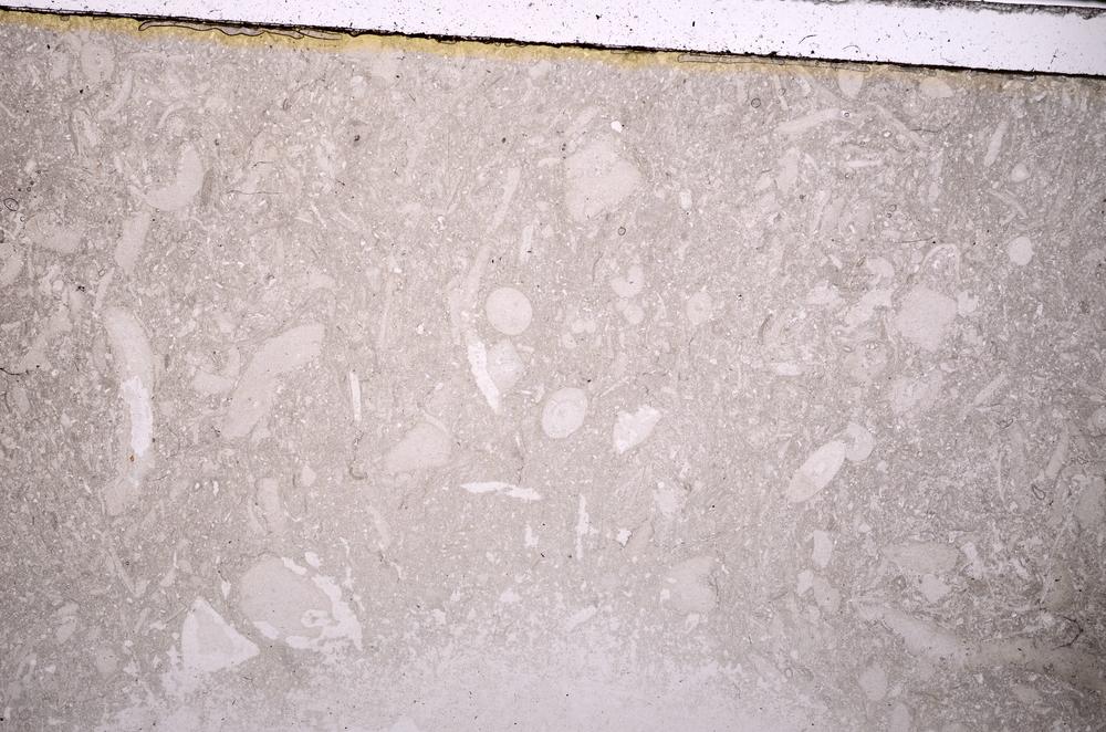Plane Polarized, E42885