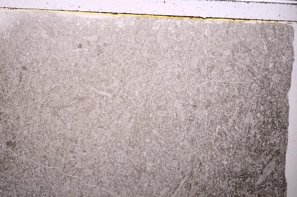 Plane Polarized, E42892