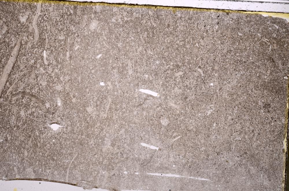Plane Polarized, E42894