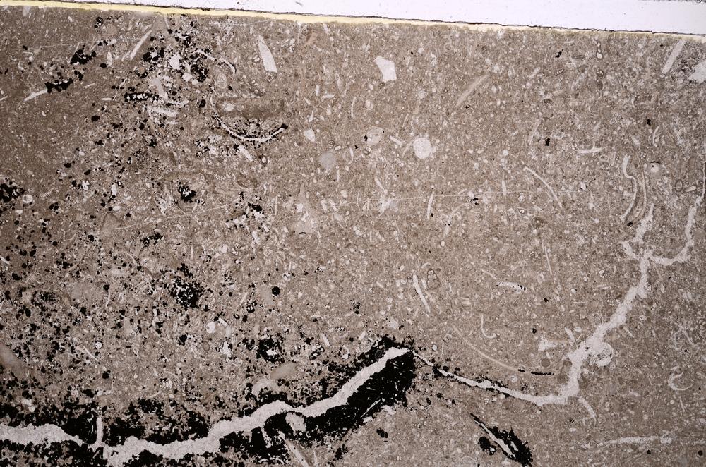 Plane Polarized, E42898