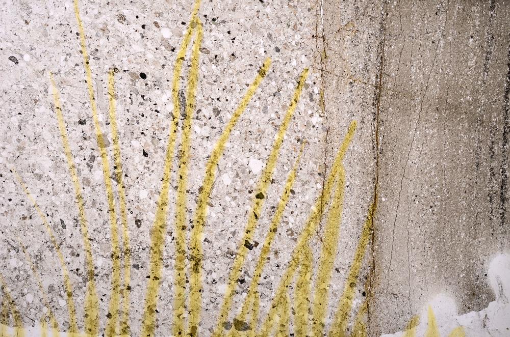 Plane Polarized, E42948