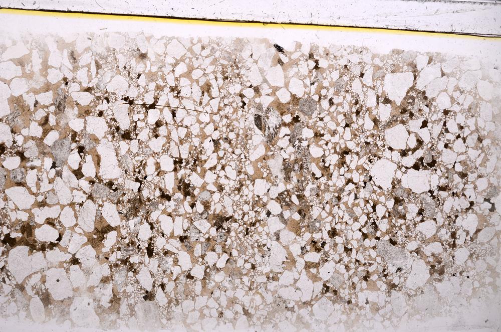 Plane Polarized, E42994