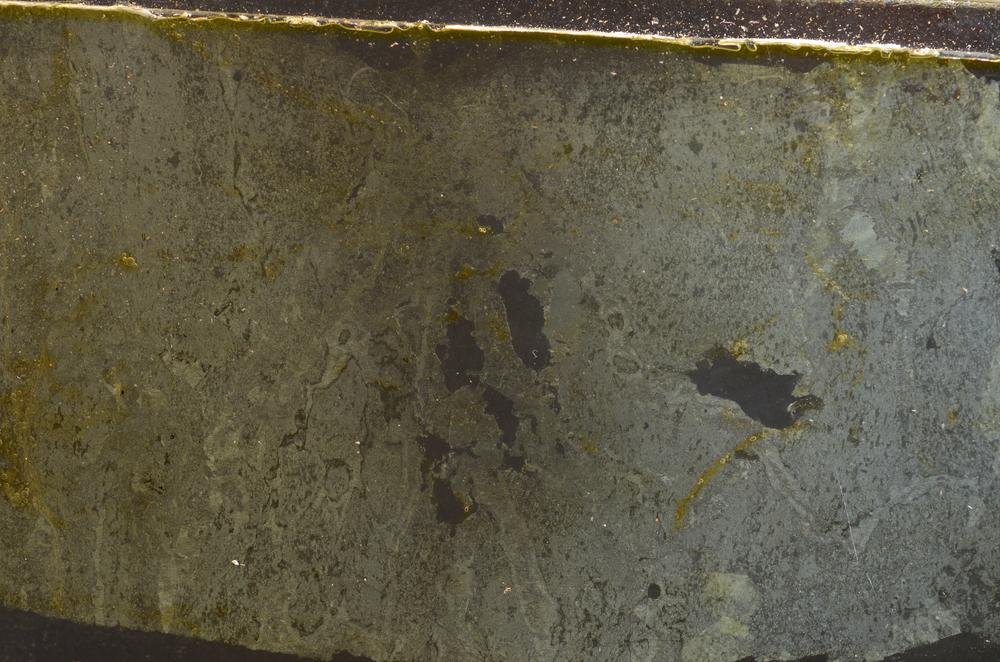 Plane Polarized, E43019