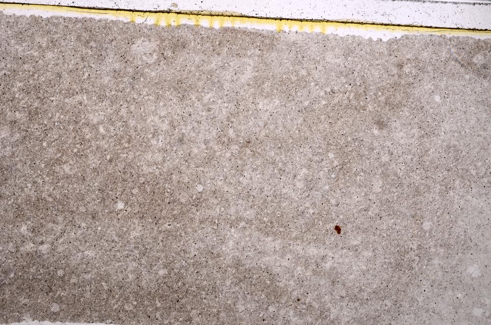 Plane Polarized, E43125