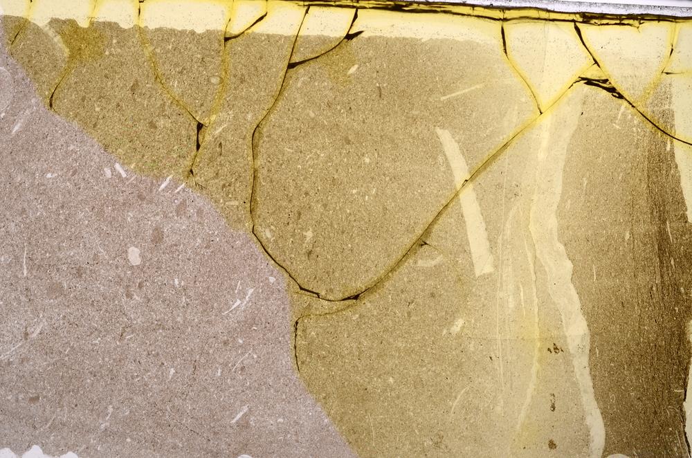 Plane Polarized, E43159