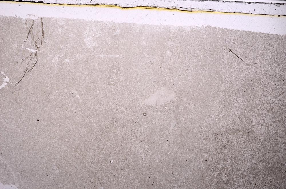 Plane Polarized, E43161