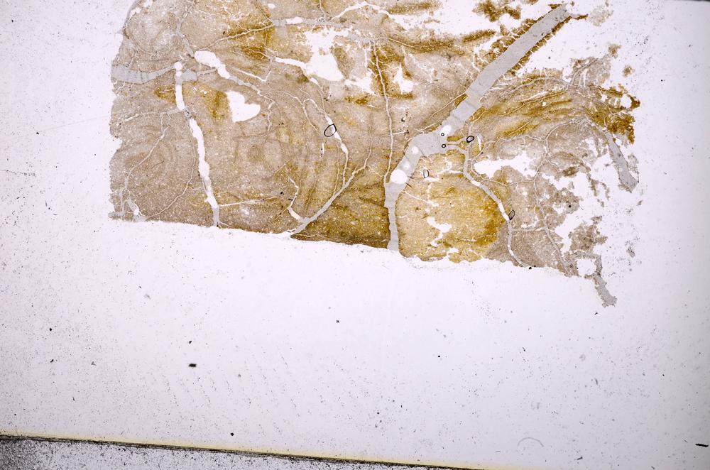 Plane Polarized, E43175