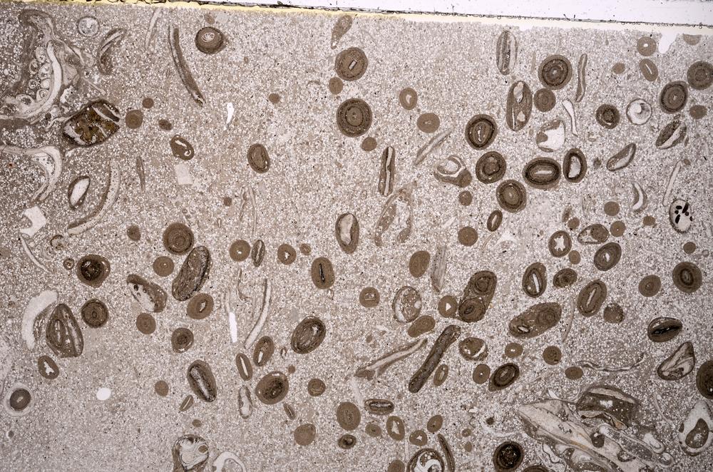 Plane Polarized, E43208