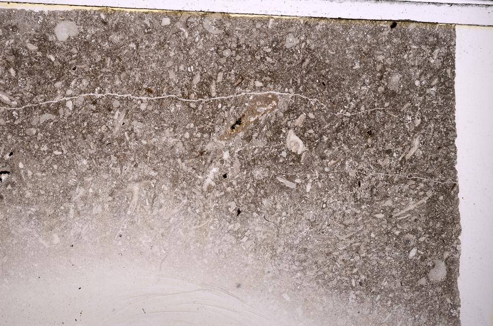 Plane Polarized, E43239