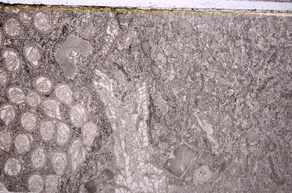 Plane Polarized, E43294