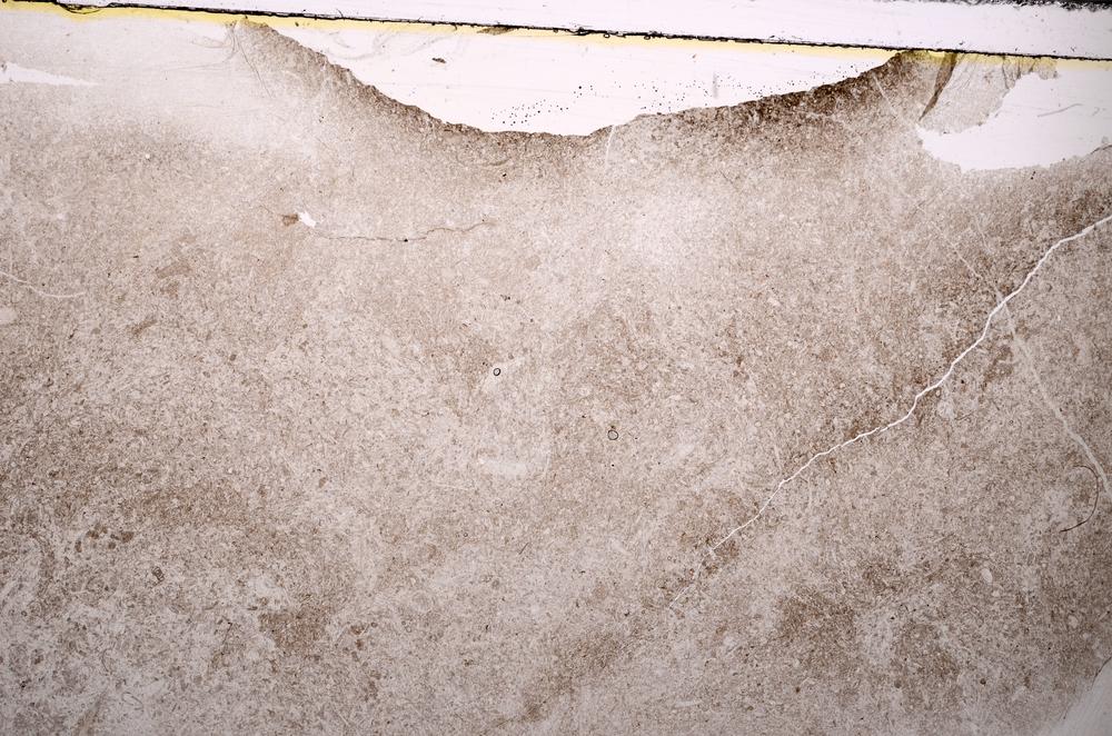 Plane Polarized, E43377