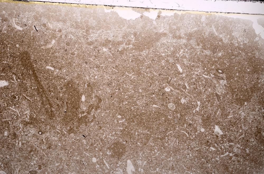 Plane Polarized, E43381