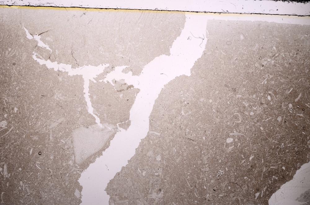 Plane Polarized, E43382