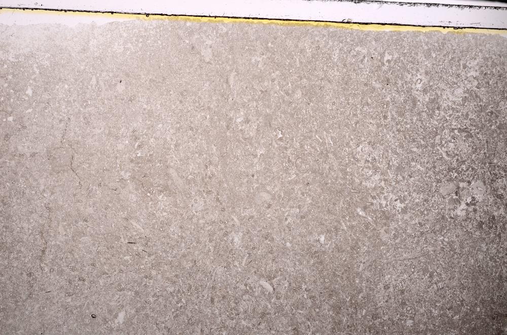 Plane Polarized, E43384