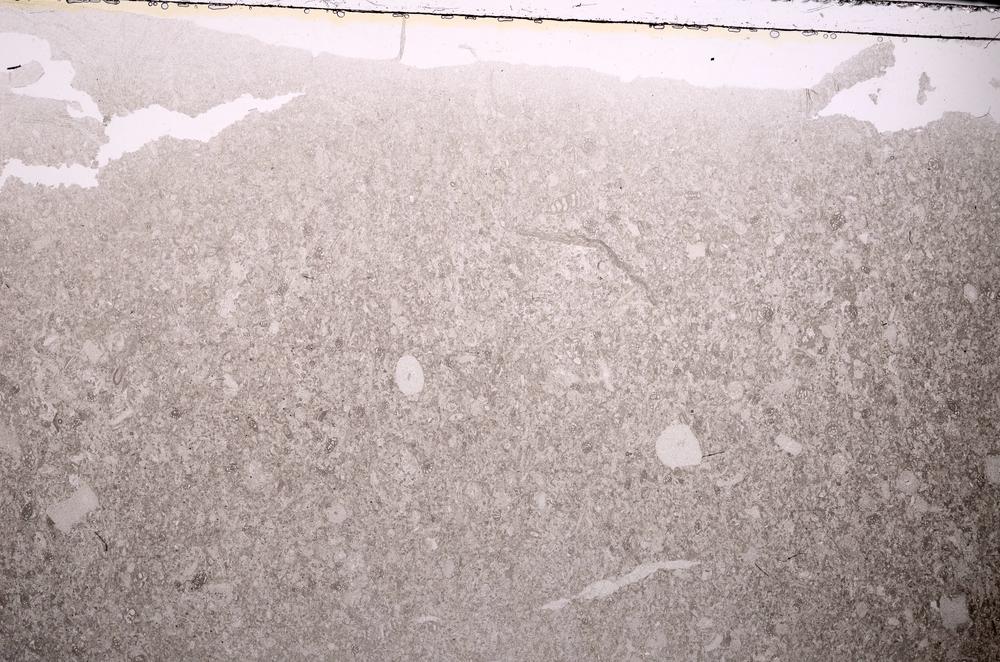 Plane Polarized, E43385