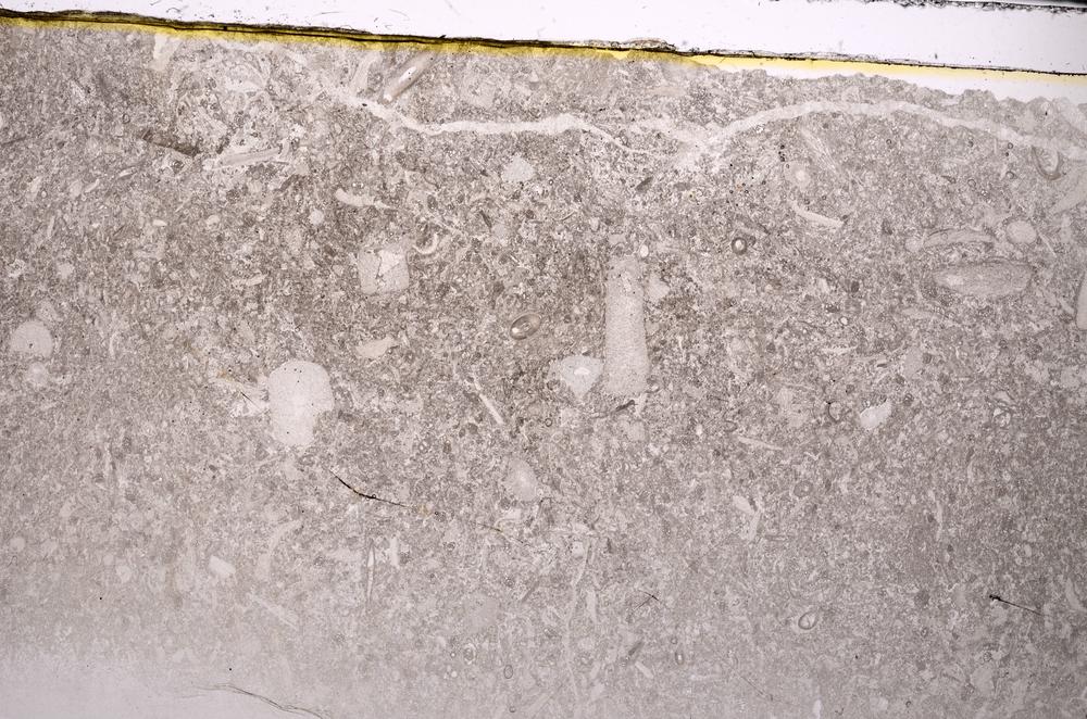 Plane Polarized, E43386