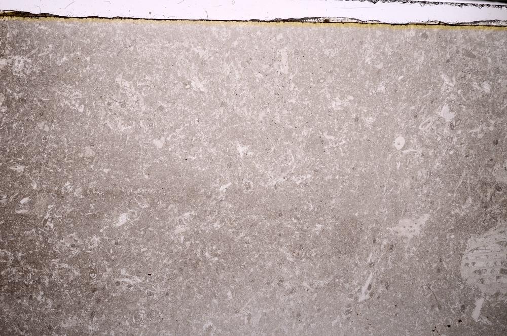 Plane Polarized, E43387