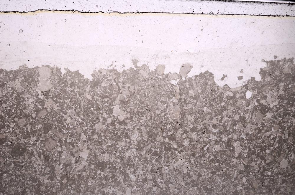 Plane Polarized, E43463