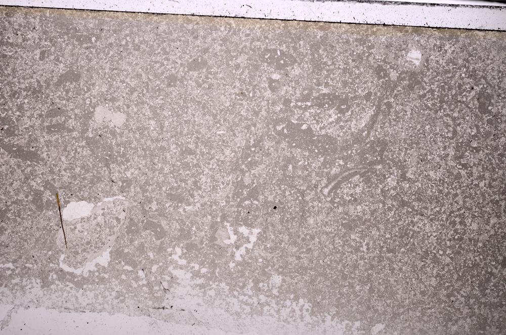 Plane Polarized, E43464